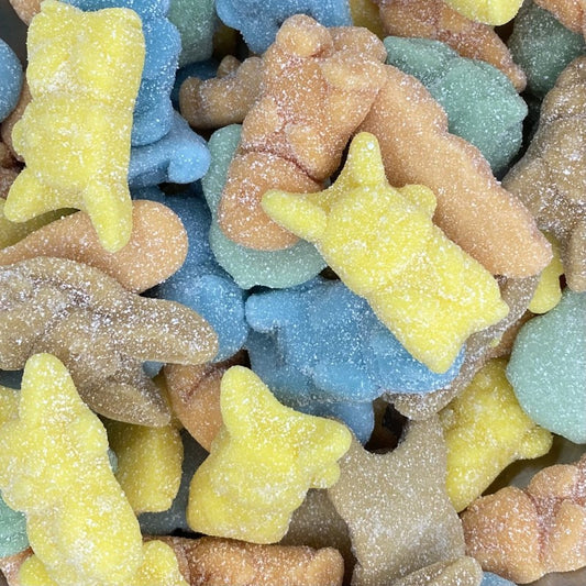 Bonbons Pokémon Acidulés 100g